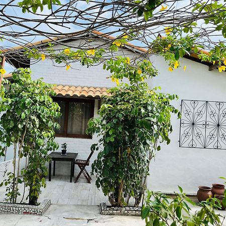 Appartement Casa Tua Pipa à Praia de Pipa Extérieur photo