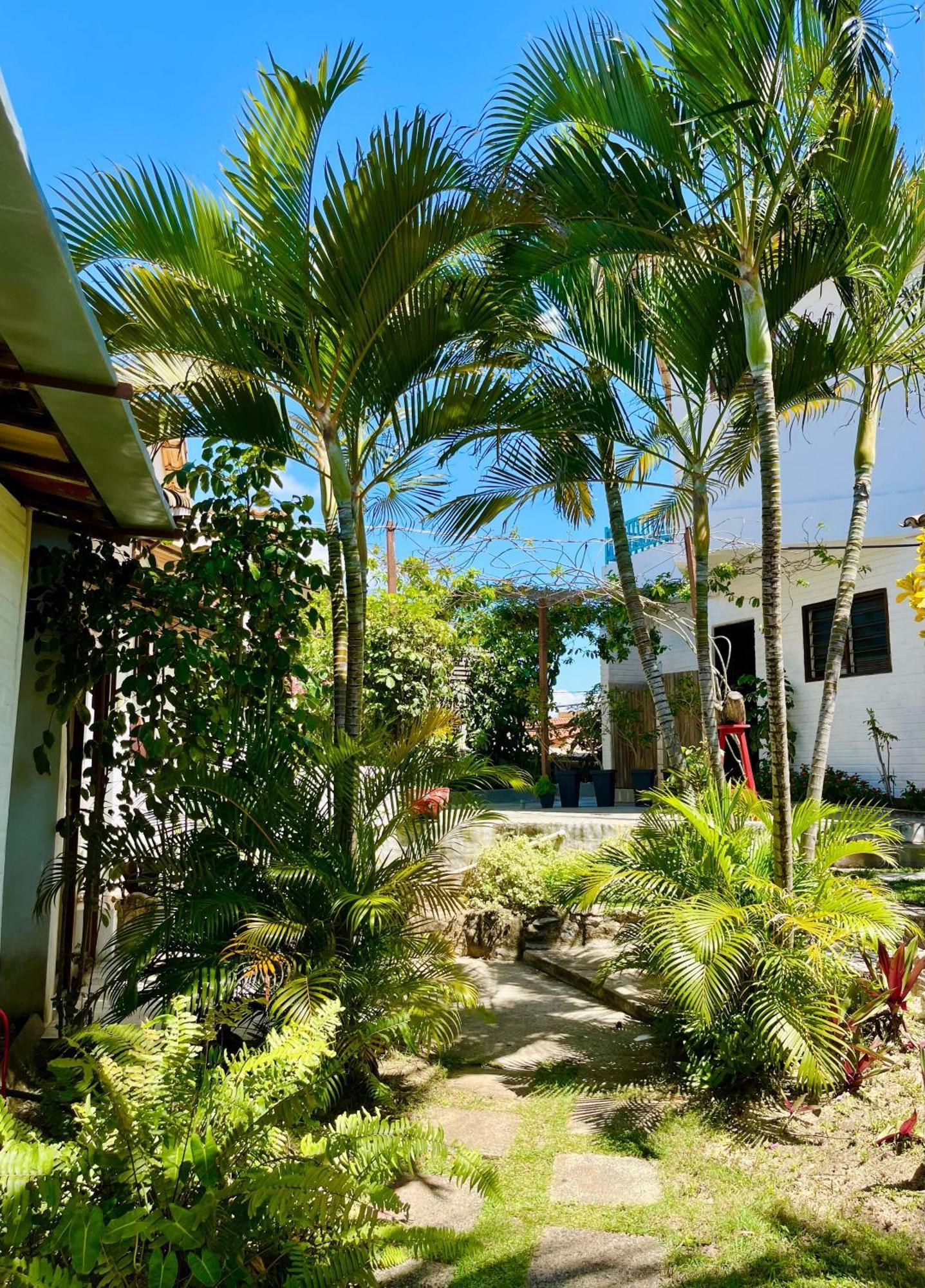 Appartement Casa Tua Pipa à Praia de Pipa Extérieur photo